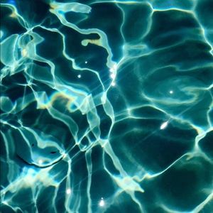 Meet your Posher, Dalysia